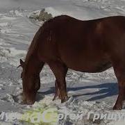 Сергей Грищук Странник Музыка