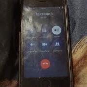 Звонок В Лакталис