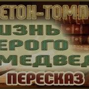 Жизнь Серого Медведя