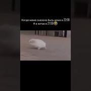 Буду Получать Звездюлей