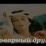 Друг Коварный Цыганская Песня