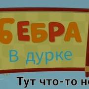Rytp Бебра В Дурдоме