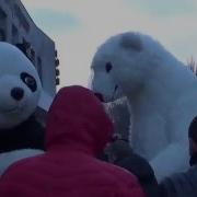 Панда И Медведь Танцуют Panda And Bear Dancing