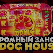 Dog House Бонуска