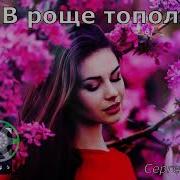 В Роще Тополя Сергей Орлов