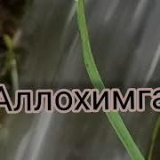 Аллохга Хамду Санолар Бу Лсин