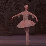 Dance Of The Sugar Plum Fairy