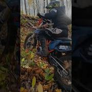 Давай На Дыбы Оригинал