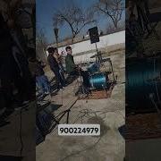 Туй Дар Хамадони