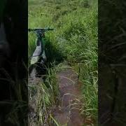 Мопед В Воду Упал Мем