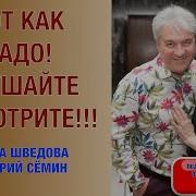 Шведова Семин Застенчивый Шиповник