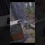 Ходят Тут Всякие Потом Ложки Пропадают