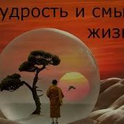 Как Стать Мудрее И Наполнить Жизнь Смыслом