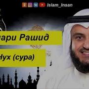 Мишари Рашид Сура Нух