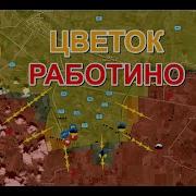 Цветет Цветок Роботино