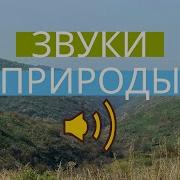Мелодия С Тик Тока С Природой В Горах