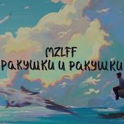 Ракушки И Ракушки