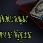 Исламские Цитаты Из Корана