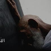 Abdulaziz Alrashed الله يعلم