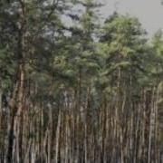 Музыка Из К Ф И Это Все О Нем