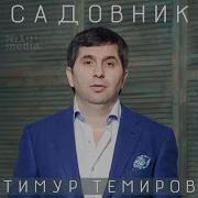 Тимур Темиров Ты Королева