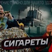 Сигареты История Обмана