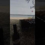 Такахули Прикол