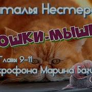Радиоспектакль Кошка На