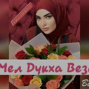 Амалия Устарханова Вай Мел Дукха Веза Хьо