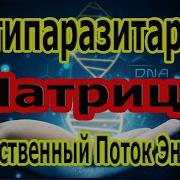 Мощная Антипаразитарная Матрица Божественный Поток Энергии Волшебные Частоты