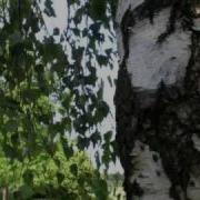Любэ Главное Что Есть Ты У Меня