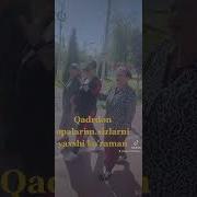 Opalarim