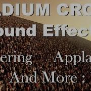 Stadium Noise