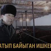 Бука Сатып Байыган Ишкер