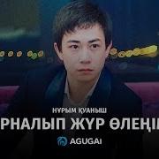 Нурым Куаныш Арналып Жур Оленим