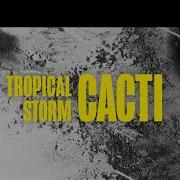 Cacti Tropical Storm Cospe Remix