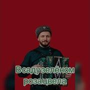 В Саду Зеленом Роза Цвела