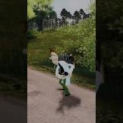Фуфелшмерц Шайлушай