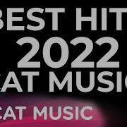 Best Hits 2022 Cat Music