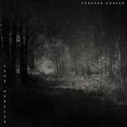 Endless Rupture Sage Oursler