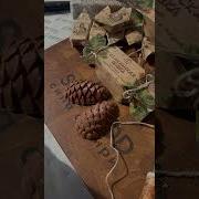 Шоколадная Шишка