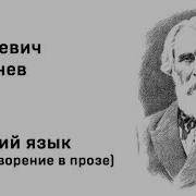 Русский Язык Тургенев