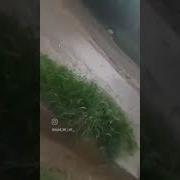Аллохим Узи Асрасин