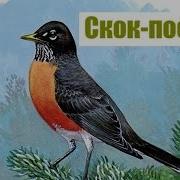 Потешка Скок Поскок Молодой Дроздок