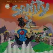 Sanity Riddim Mixtape Reggae Forever Music 2023 Riddims World