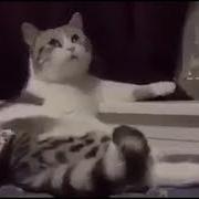 Первым Делом Баньку