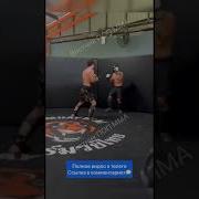 Шовхал Чурчаев