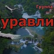 Журавли Группа Курнуц