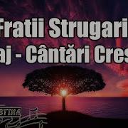 Frații Strugariu