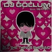All The Things She Said Dj Gollum Remix